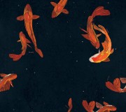 Wzór Karpie Koi