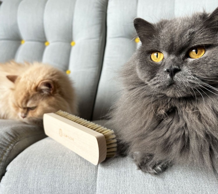 Oczyści ubrania i materiałową tapicerkę  z sierści czworonogów.