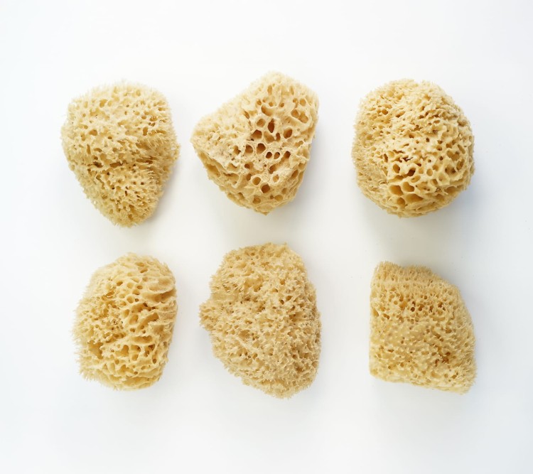 Wyjątkowy kształt tworzony przez naturę