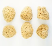 Porównanie kształtów gąbek XXL