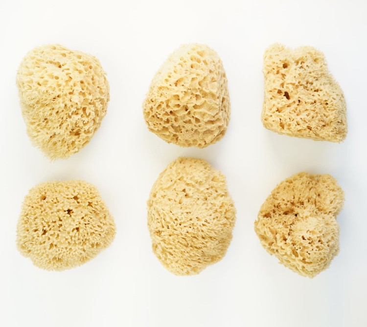 Porównanie kształtów gąbek XXL