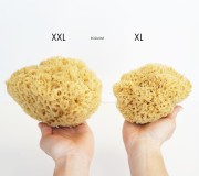 Porównanie rozmiaru XXL i XL