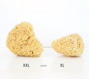 Porównanie rozmiaru XXL i XL