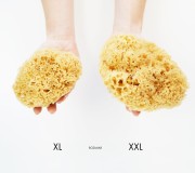 Porównanie dwóch rozmiarów gąbek