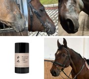 sztyft z CBD dla koni na otarcia