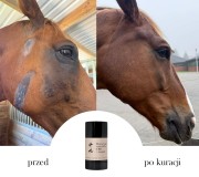 sztyft z CBD dla koni na otarcia