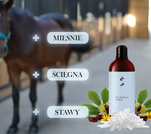 żel z MSM dla koni