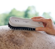 Curry-comb brush dla konia