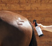 Mrozik spray chłodząco-łagodzący dla koni