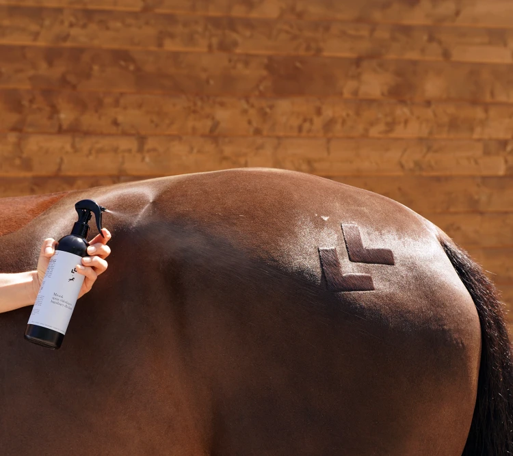 Mrozik spray chłodząco-łagodzący dla koni