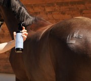 Mrozik spray chłodząco-łagodzący dla koni