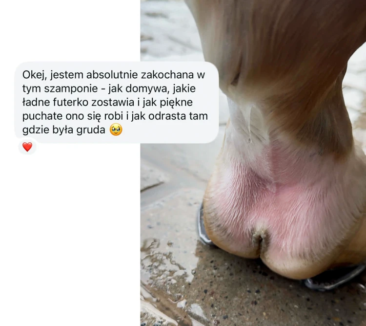 Maść na grudę opinie