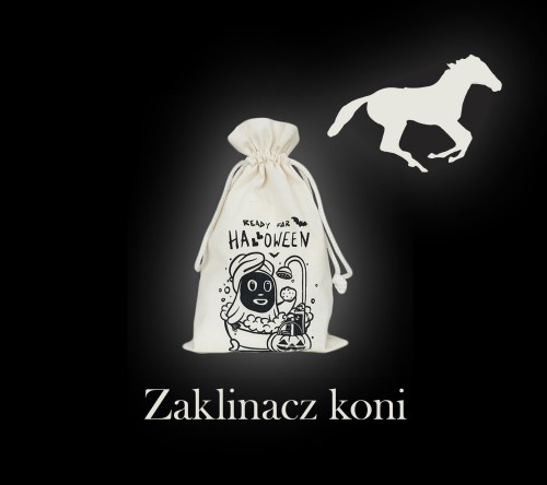 Zaklinacz koni