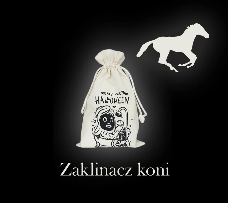 Zaklinacz koni