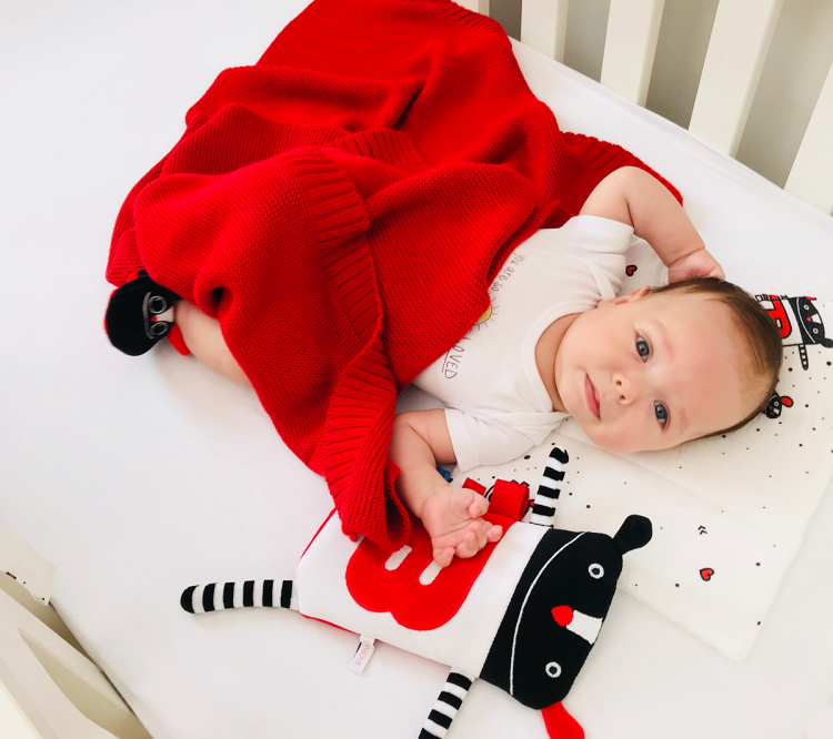 e87c7b2d6503c5ebe826b5e0dc92ca24