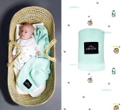 1a5ee2f281a9a74e138f02cd2bfbfea1