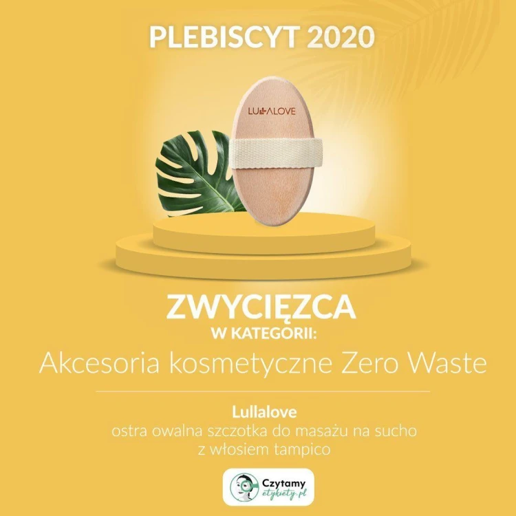 Najlepsza szczotka na sucho